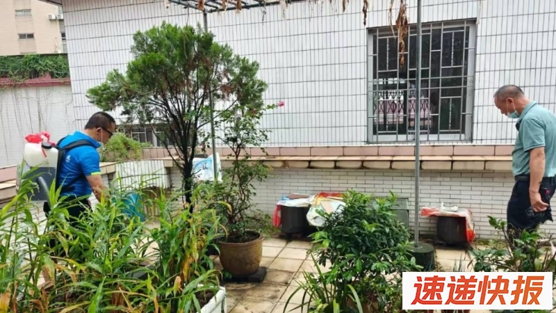 灭蚊
